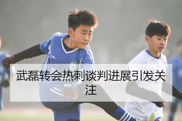 武磊转会热刺谈判进展引发关注